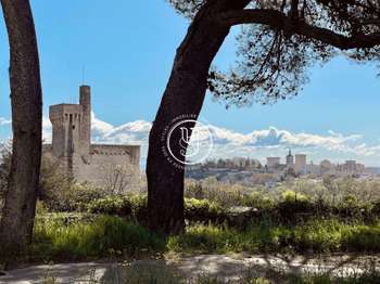 Vente maison Villeneuve-lès-Avignon 30