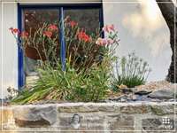 Vente maison 11 pièces Vente maison 11 pièces