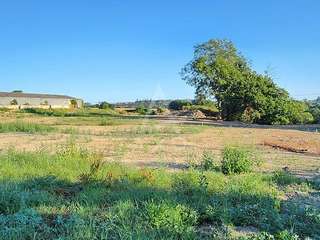 Vente maison 25 pièces