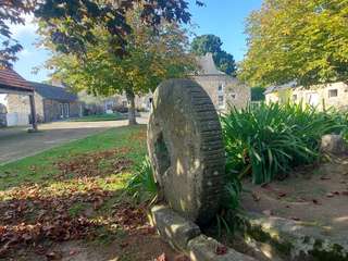 Vente maison 15 pièces