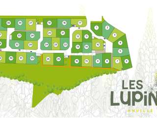 Programme Neuf Programme Neuf