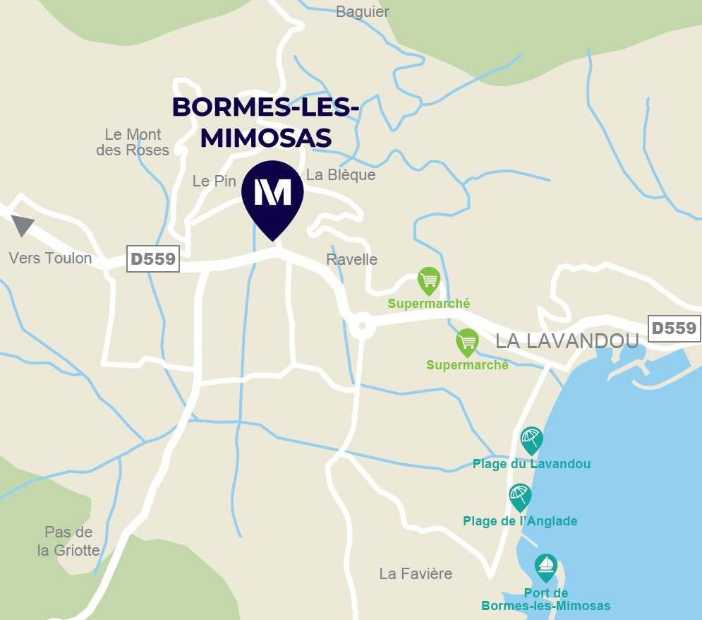 Photo Programme Neuf Bormes-les-Mimosas