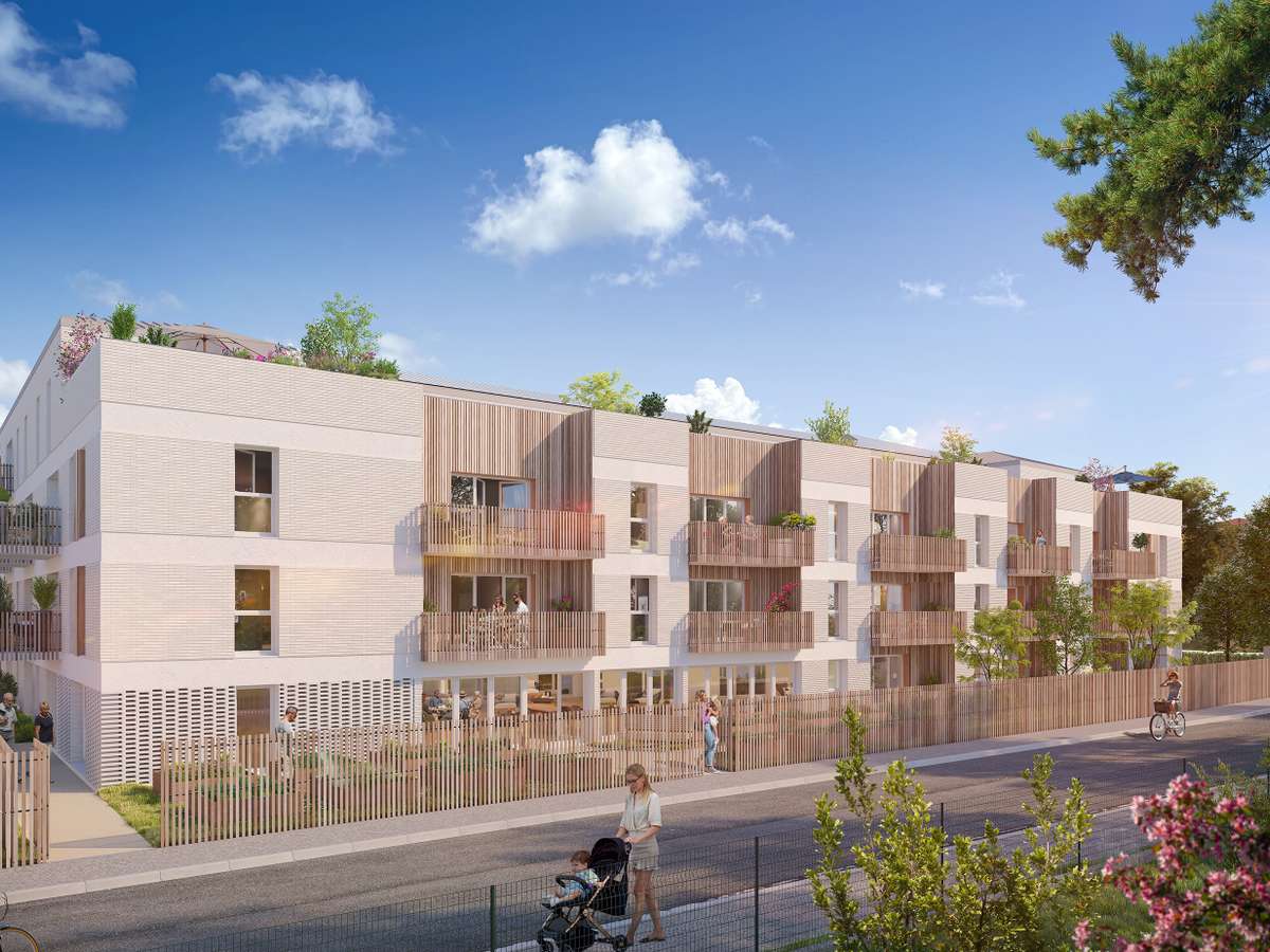 Photo Programme Neuf Carbon-Blanc