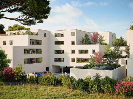 Photo Programme Neuf Cavaillon