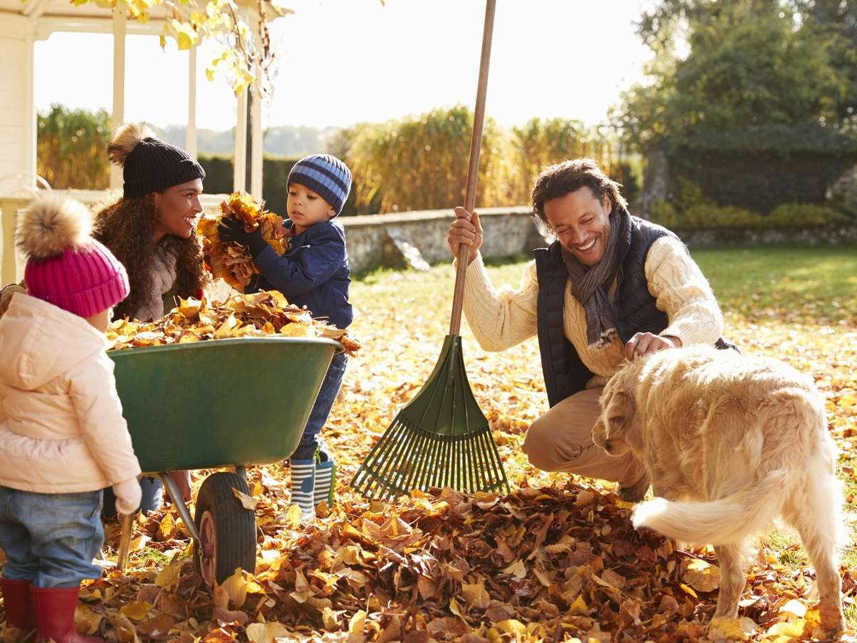 Photo Programme Neuf Chasseneuil-du-Poitou