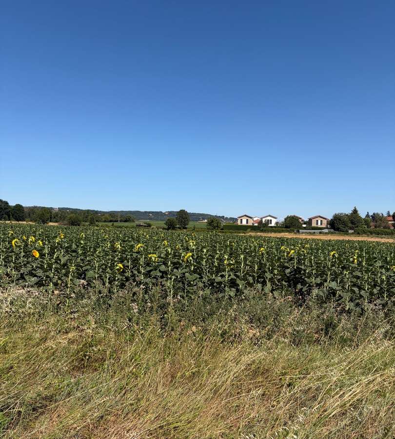 Photo Programme Neuf Cheyssieu