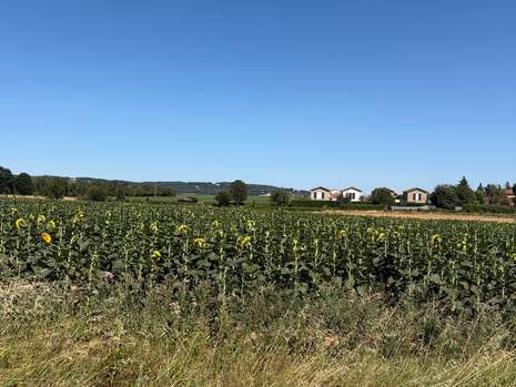 Photo Programme Neuf Cheyssieu