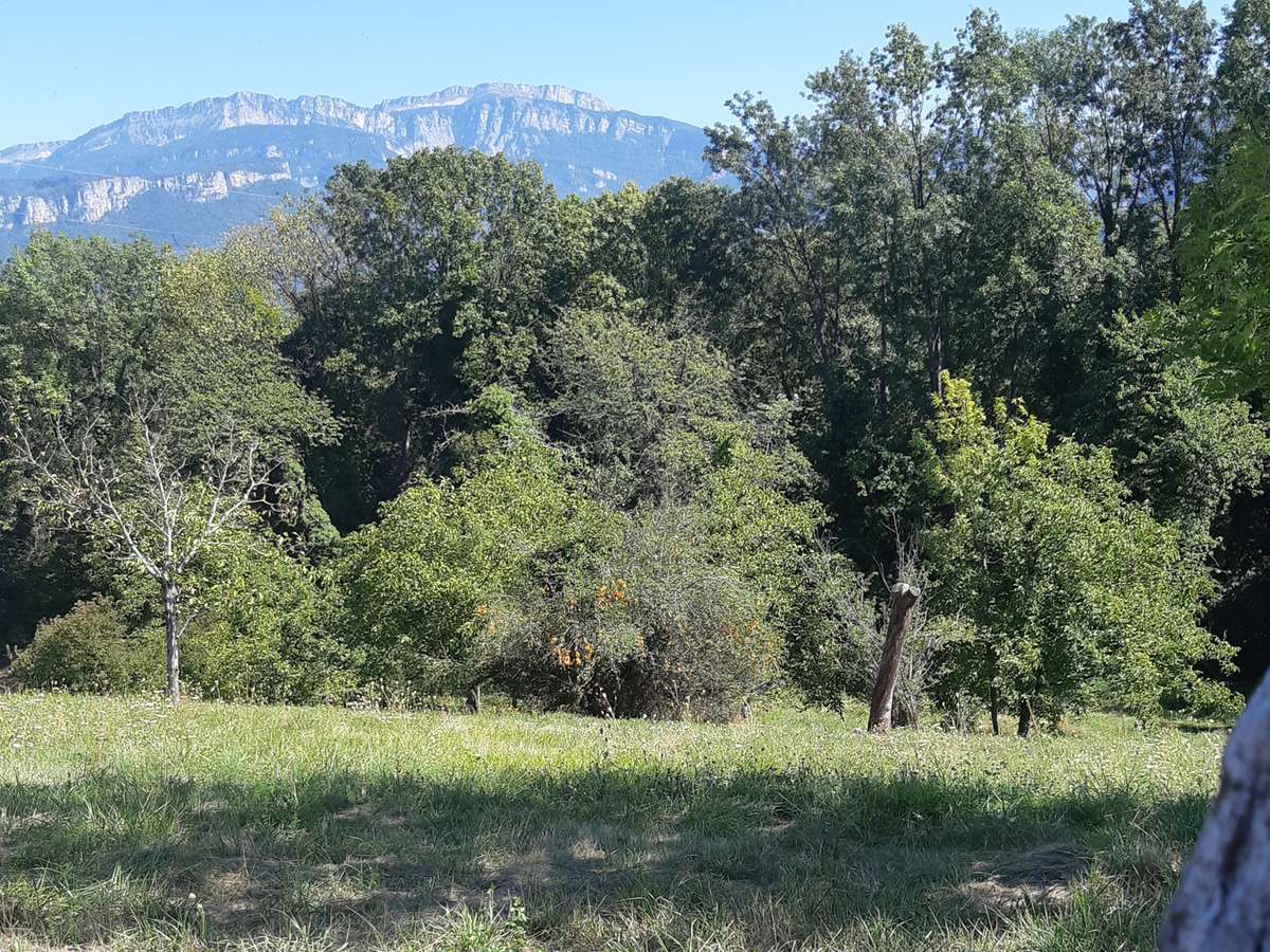 Photo Programme Neuf Moirans