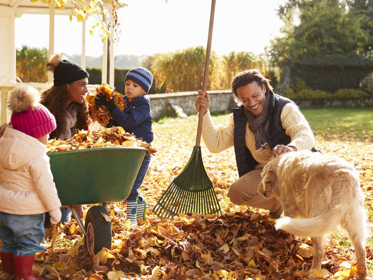Photo Programme Neuf Parçay-Meslay
