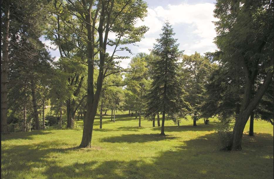 Photo Programme Neuf Pierrefitte-sur-Seine