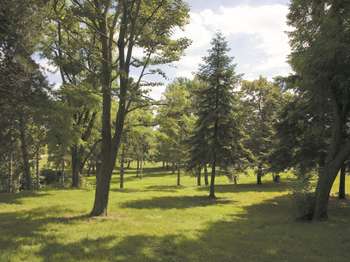 Photo Programme Neuf Pierrefitte-sur-Seine