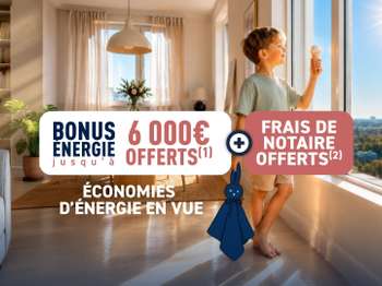 Photo Programme Neuf Pomponne