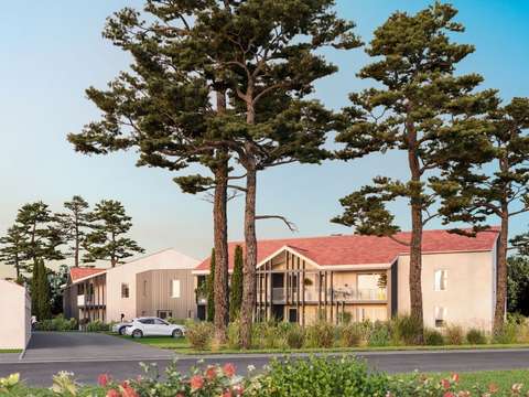 Programme Neuf 3 pièces