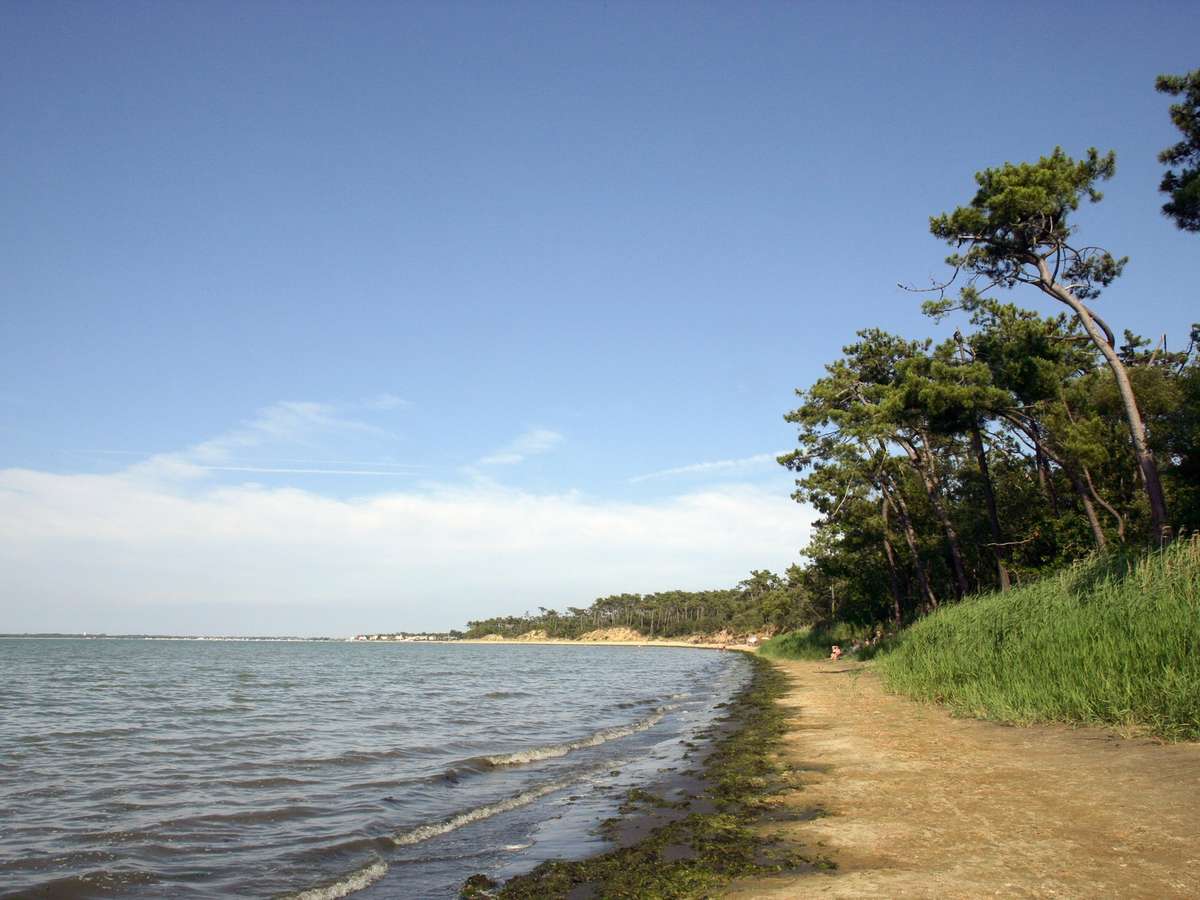 Photo Programme Neuf Saint-Sulpice-de-Royan
