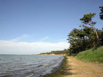 Photo Programme Neuf Saint-Sulpice-de-Royan