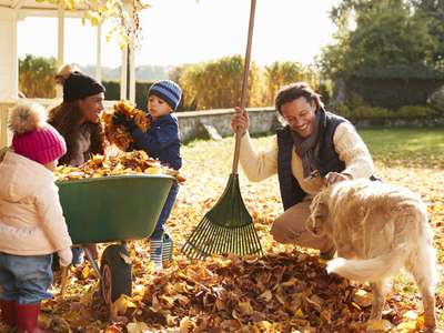 Photo Programme Neuf Steinseltz