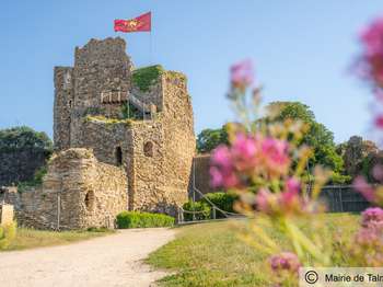 Photo Programme Neuf Talmont-Saint-Hilaire