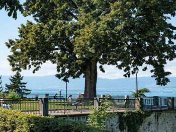 Photo Programme Neuf Thonon-les-Bains