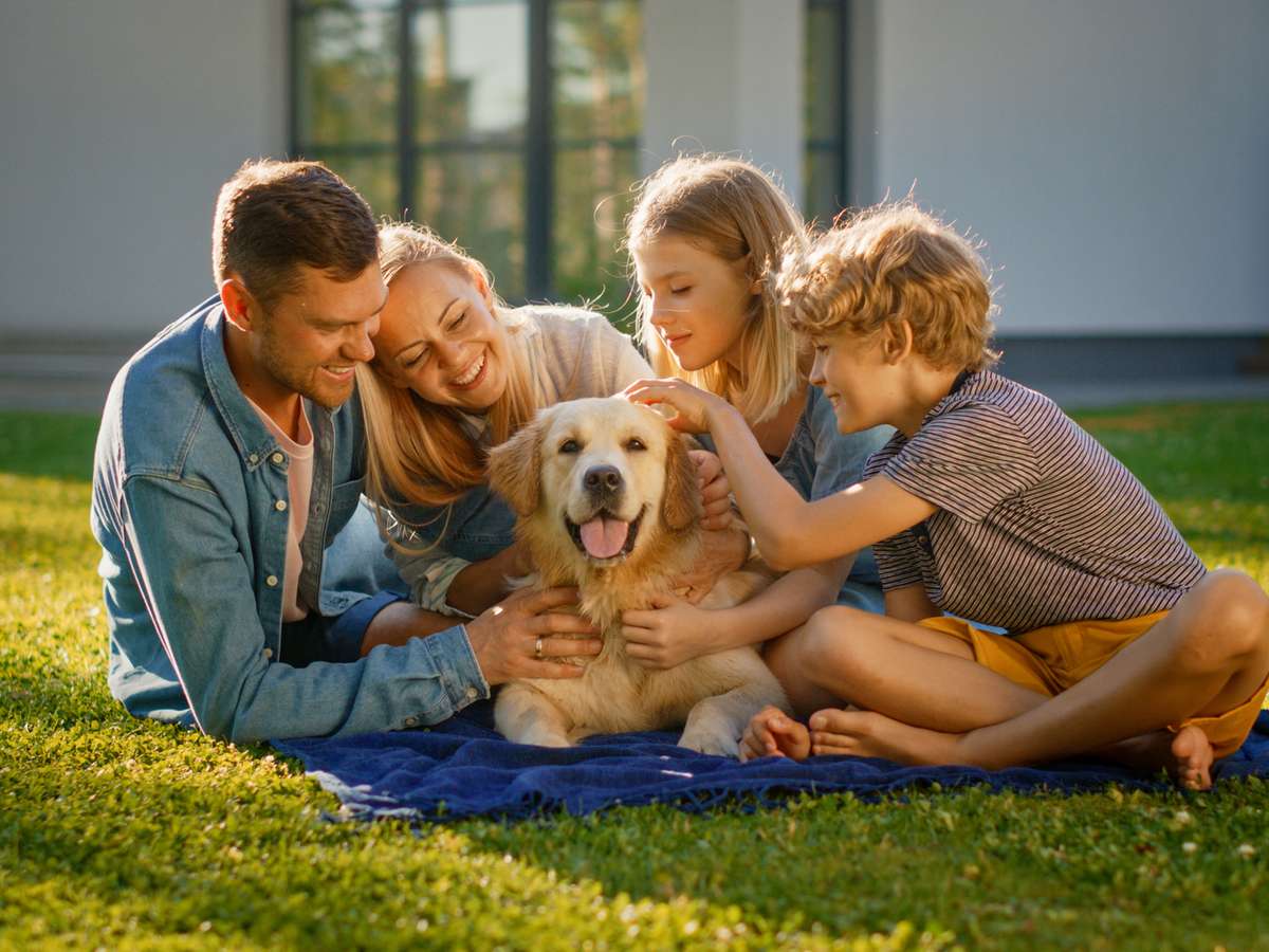 Photo Programme Neuf Vineuil