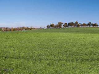 Photo Programme Neuf Waldwisse