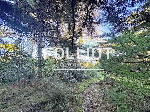 Vente de terrain Agon-Coutainville 50