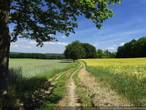 Vente Terrain 554 m&sup2;Ahuillé