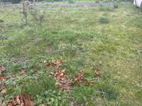 Vente de terrain