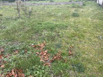 Vente de terrain