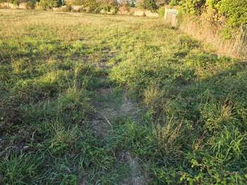Vente Terrain 332 m&sup2;Aigrefeuille-sur-Maine