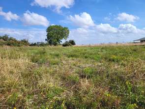 Vente Terrain 1624 m&sup2;Airvault