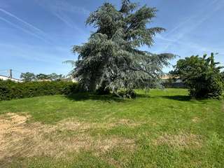 Vente de terrain