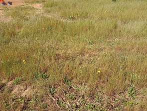 Vente Terrain 466 m&sup2;Aizenay