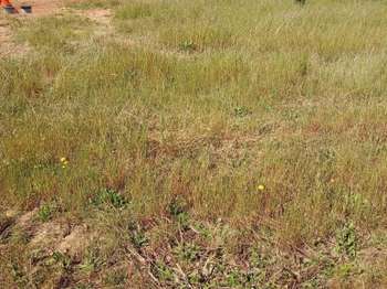 Vente de terrain Aizenay 85