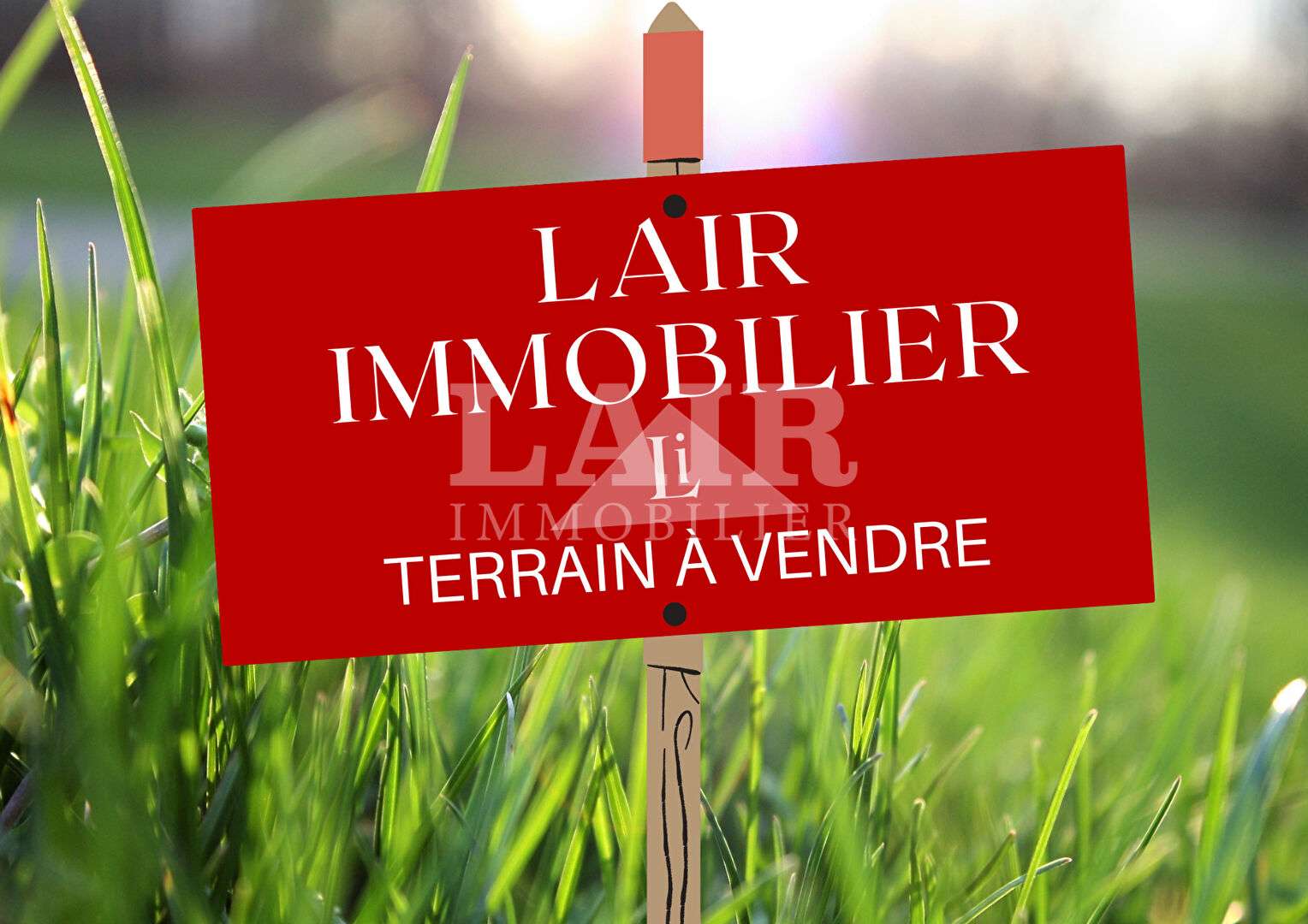 Terrain