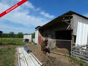 Vente Terrain 27457 m&sup2;Alençon