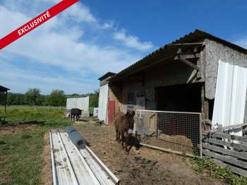 Vente de terrain Alençon 61