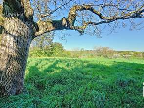 Vente Terrain 1037 m&sup2;Allaire