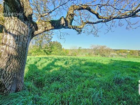 Vente de terrain Allaire 56