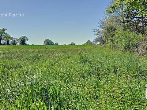 Vente de terrain Allaire 56