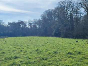 Vente de terrain Allaire 56