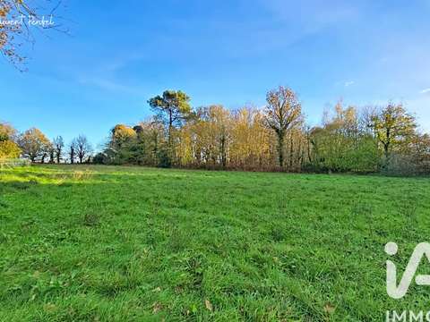 Vente de terrain Allaire 56