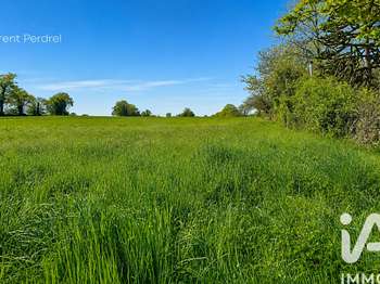 Vente de terrain Allaire 56