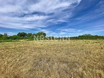 Vente Terrain 663 m&sup2;Ambon