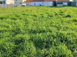 Vente de terrain