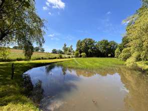 Vente Terrain 2980 m&sup2;Andouillé