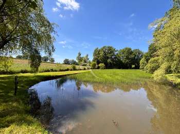 Photo Vente de terrain Andouillé