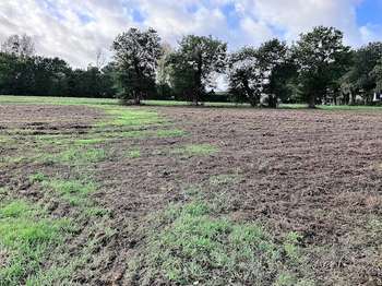 Vente Terrain 864 m&sup2;Andouillé-Neuville