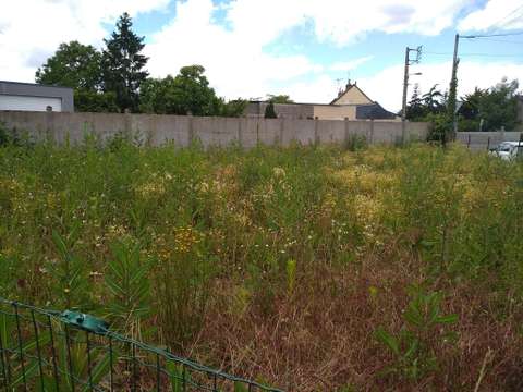 Vente de terrain Angers 49