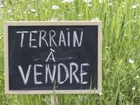 Vente de terrain