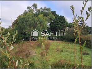 Vente Terrain 790 m&sup2;Angles